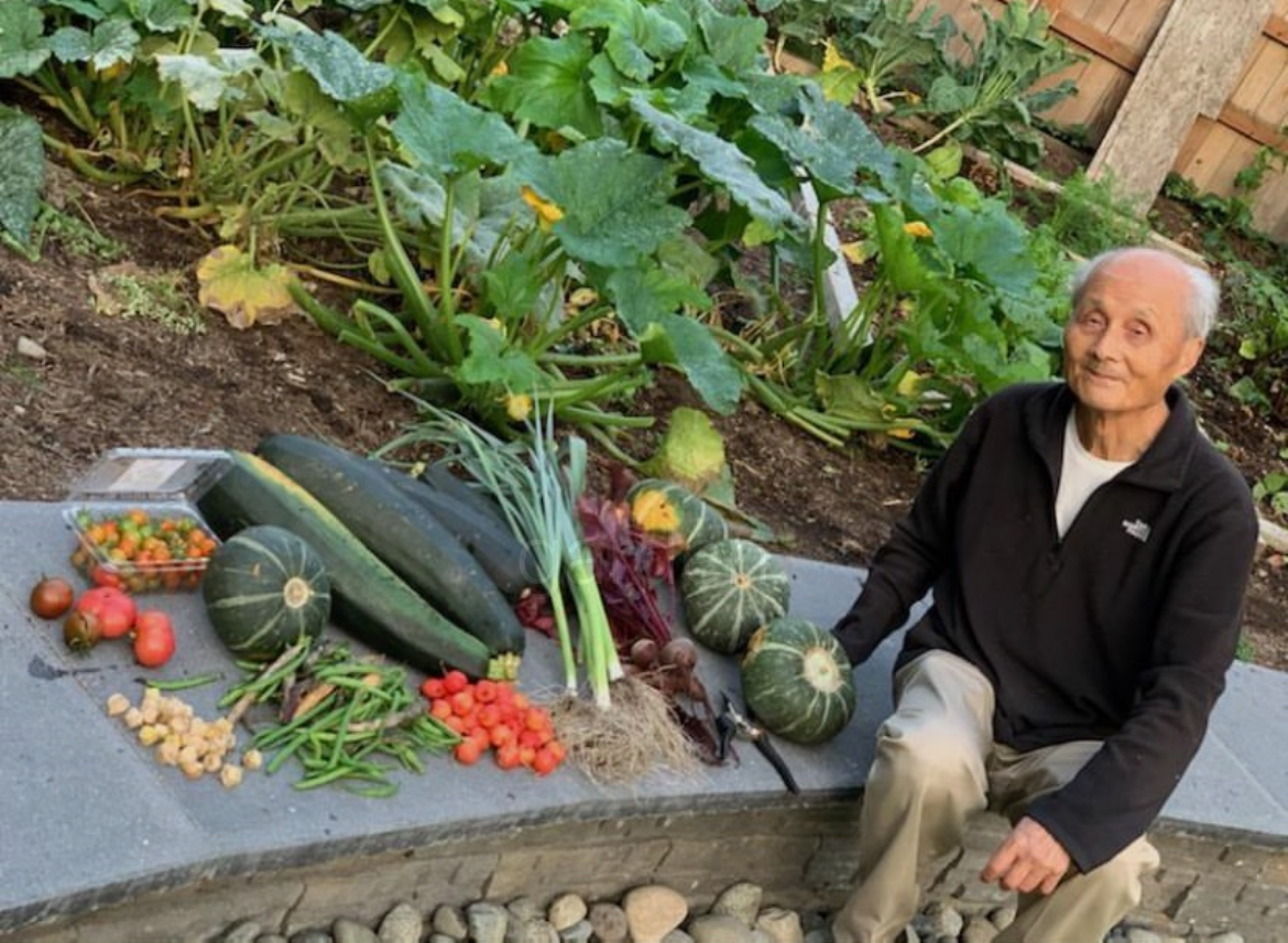 A full day's harvest laid out on the garden wall beside a pair of pruners